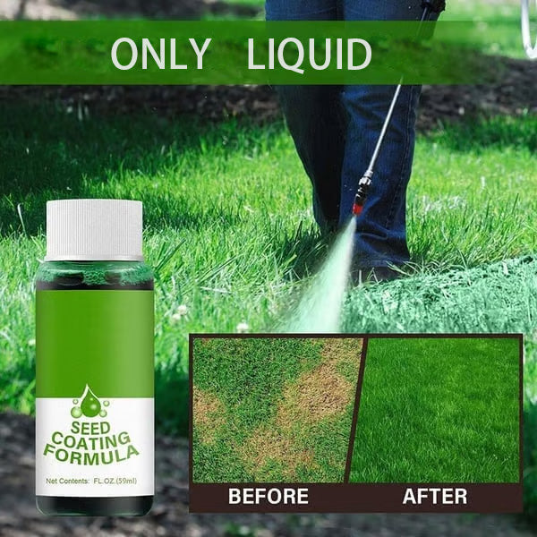 🔥Last Day 73% OFF🌱Hydro Seeding Lawn Solution