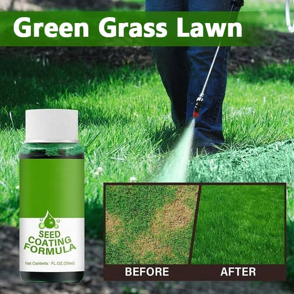 🔥Last Day 73% OFF🌱Hydro Seeding Lawn Solution