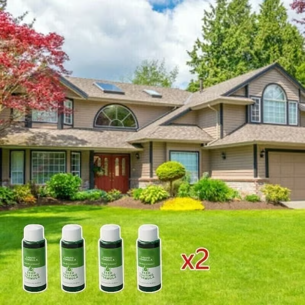 🔥Last Day 73% OFF🌱Hydro Seeding Lawn Solution