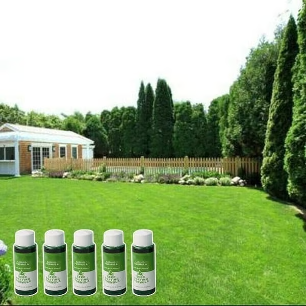 🔥Last Day 73% OFF🌱Hydro Seeding Lawn Solution