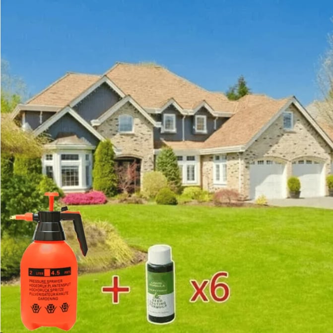 🔥Last Day 73% OFF🌱Hydro Seeding Lawn Solution